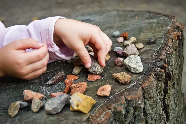 Platzhalterfoto: Kinder sammeln Naturmaterialien auf der Wiese